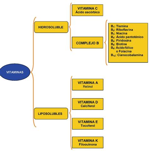 ¿qué Son Las Vitaminas Y Cuál Es Su Función Musculación Total