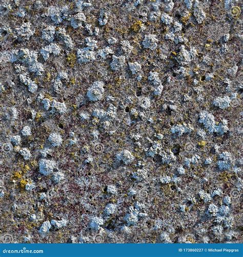 Detailed Foto Realistic Seamless Concrete Texture Of Different Cement