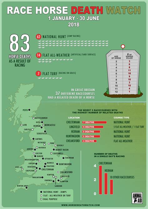 Shocking half-year race horse death figures highlight serious welfare ...