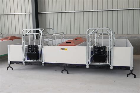 Swine Farm Pig Cage Gestation Farrowing Crate For Sale China Pig Farm