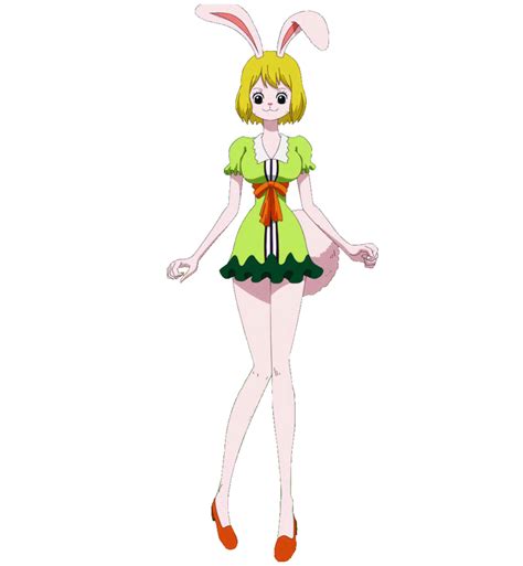 Carrot One Piece Poohs Adventures Wiki Fandom