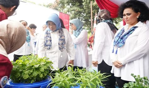 Pondok Rajeg Jadi Lokasi Percontohan Pekarangan Pangan Lestari