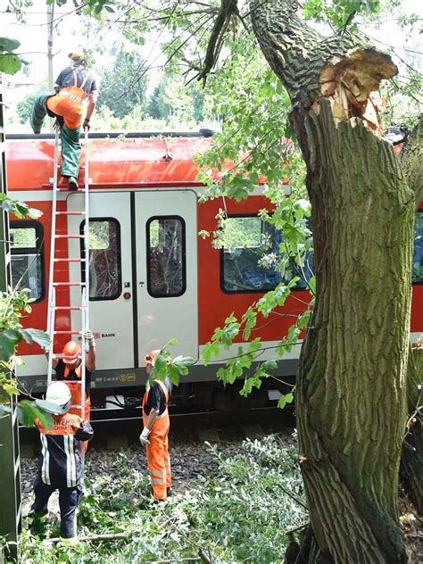 Brennender Baum St Rzt In S Bahn Leitung Bilder