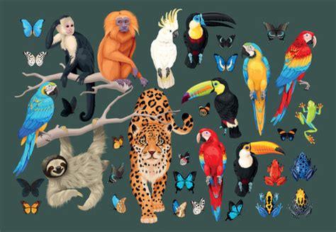 Tropical Animal Images – Browse 2,357,367 Stock Photos, Vectors, and ...