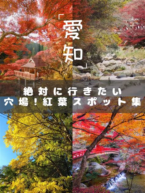 【愛知】この秋行きたい！穴場な紅葉スポットまとめ 愛知グルメおでかけ案内人 ̈♡が投稿したフォトブック Lemon8