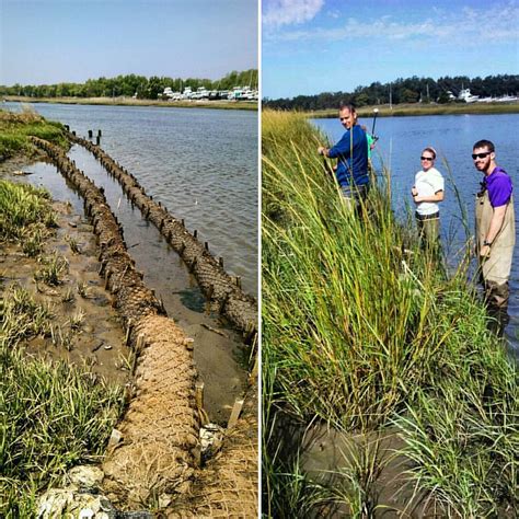 Lewes Delaware Living Shoreline Before And After Look At Flickr