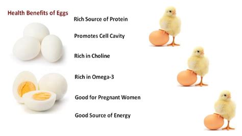 10 Key Health Benefits Of Eggs Health Benefits Of Eggs Health