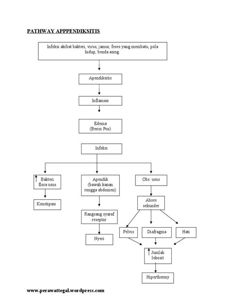 Pathway Appendicitis