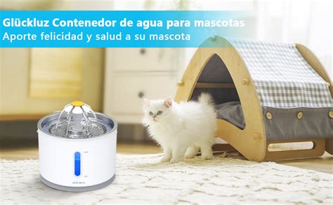 Gl Ckluz Fuente De Agua Para Gato L Placa Metal Bebedero Para Gato