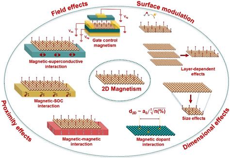 2d Ferromagnetism Core Projects Research Ibs