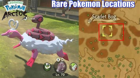 Every Rare Spawn And Legendary Pokemon Location Pokemon Legends Arceus Youtube