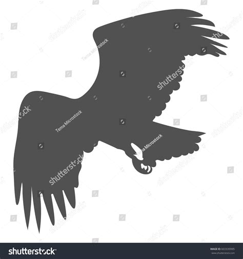 bird soaring drawing 4