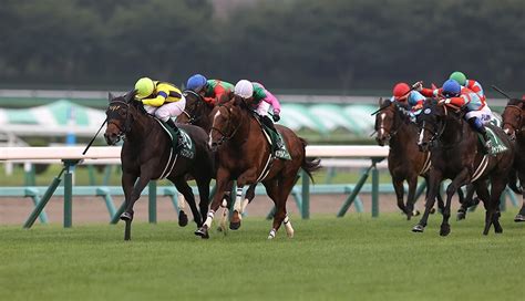 【日経新春杯・京成杯・門司ステークス2024予想】3連単6点勝負！今週の無料競馬予想！ ｜ 3連単6点勝負！競馬で夢を叶える！3連単競馬予想に