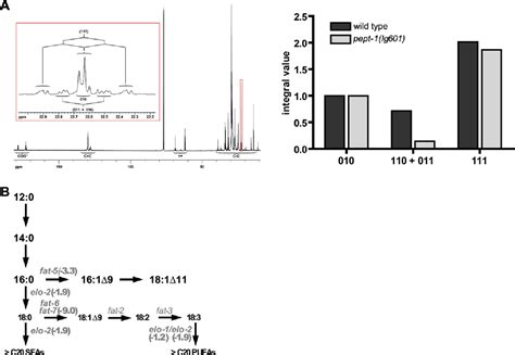 Figure 2 From How The Intestinal Peptide Transporter PEPT 1 Contributes