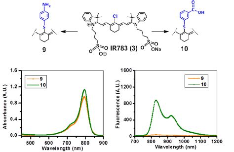 Absorbance A And Fluorescence B Spectra Of Fluorophores 9 And 10