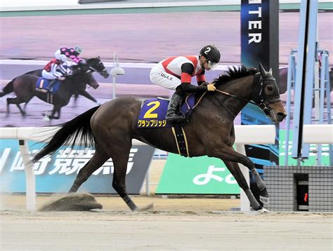 【地方競馬】1番人気のグランブリッジが川崎のエンプレス杯を制し4回目の重賞制覇 競馬ニュース Netkeiba