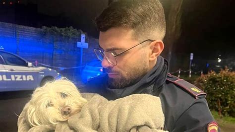 Montanara I Poliziotti Salvano Un Cagnolino Che Stava Annegando In Una