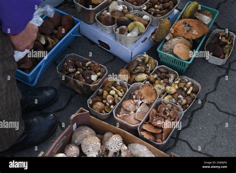 Un Vendeur Local De Champignons Avec Des Paniers De Champignons Parasol