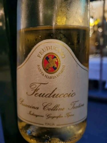 Il Feuduccio Passerina Colline Teatine Vivino Australia