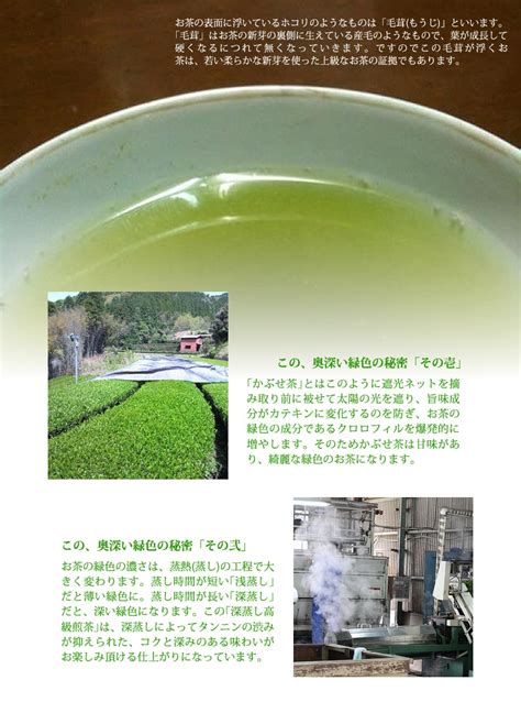 2024年産 奥八女星野茶 高木茶園の深蒸し高級煎茶【amazon Pay使えます！】 糖質制限サポート食品 糖サポ市場オンラインショップ