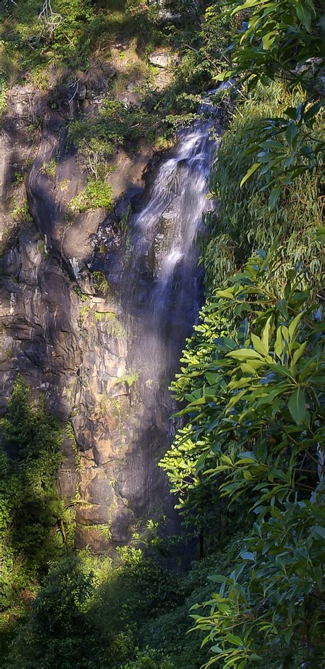 Free Images Tree Nature Forest Waterfall River Stream Green Reflection Jungle Water