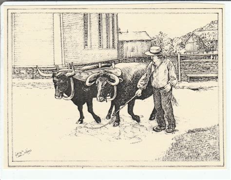 Yoked Pair of Oxen-this 6-pack of Blank, Ivory Notecards W Env Features ...