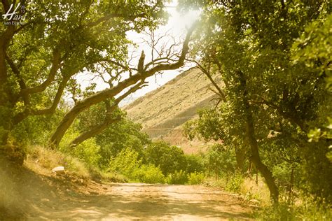 Iraqi Kurdistan: Landscapes & Nature - Hans van Eijsden Photography