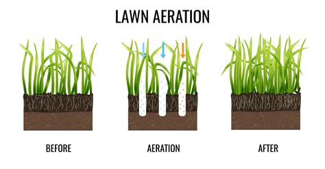 Why Aerate Your Lawn - Super Green