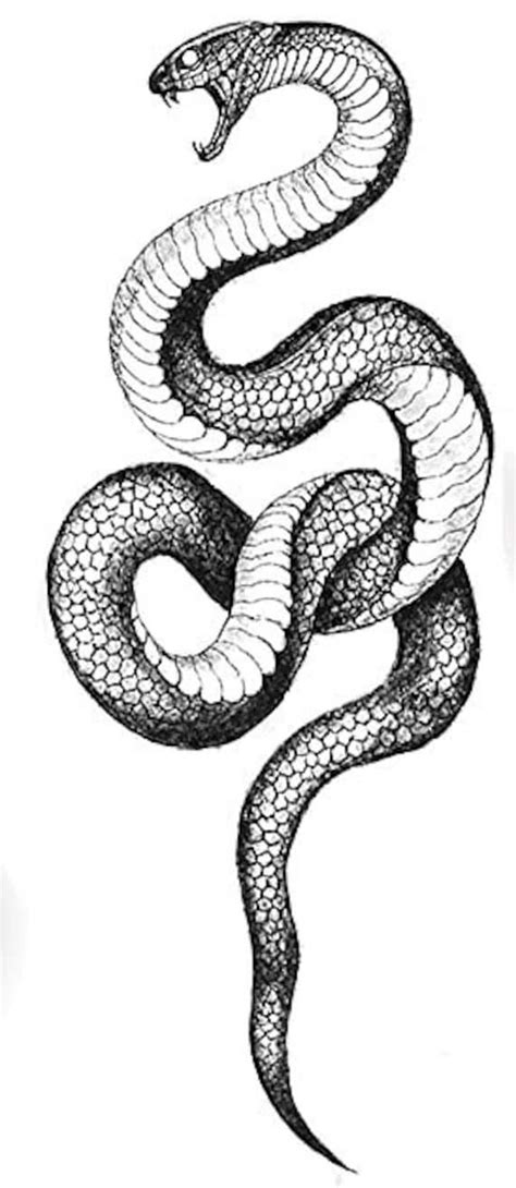 Tatuaje de hombro de serpiente de 5x3 pulgadas Etsy España in 2022