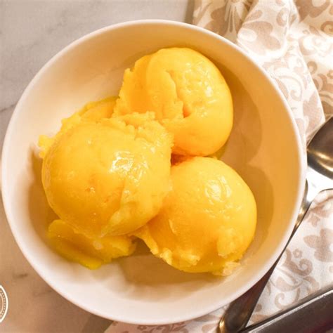 Ninja Creami Sorbet Recipes The Tasty Travelers