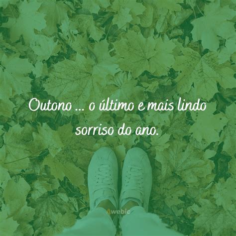 Lindas Frases De Outono Para Refletir Nas Mensagens E Te Inspirar