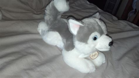 Aurora Miyoni Plush Husky 105in By Vesperwolfy87 On Deviantart