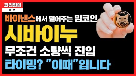 시바이누코인호재 바이낸스에서 밀어주는 밈코인 시바이누 소량씩 꾸준한 매수가 중요한데요 시바이누 매수타이밍 이때입니다