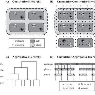 Four different Types of Hierarchies used in Biology. A) A constitutive... | Download Scientific ...