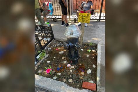 Brooklyns Viral Fire Hydrant Aquarium That Sparked A Goldfish Heist