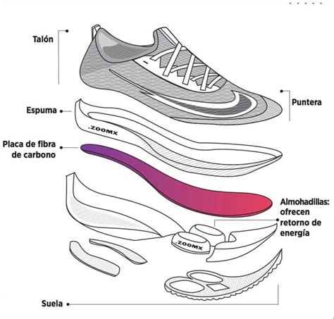 ZONAS DE UN ZAPATO DEPORTIVO PARA CORRER ANATOMIA Imperialshop