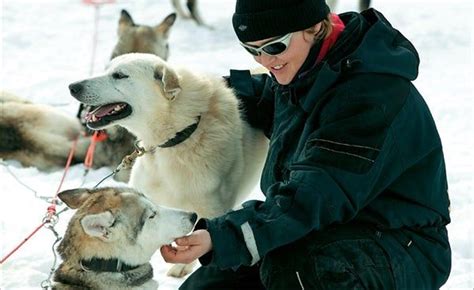 Laponia Finlandesa Complejo Tur Stico Viajar