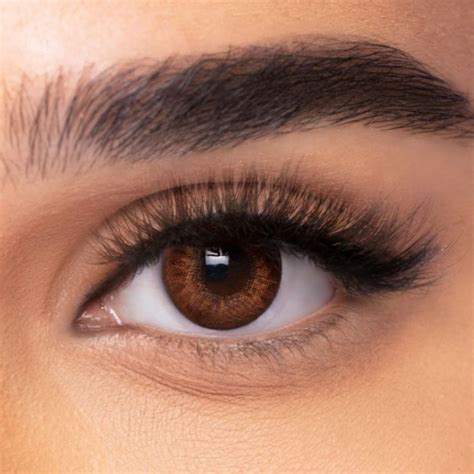 FreshLook Colorblends Brown My Lenses