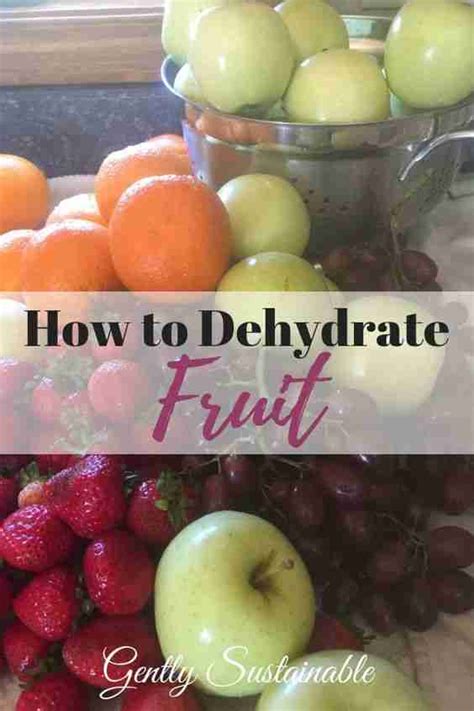 "How to Dehydrate Fruit" with Kelly @ Gently Sustainable