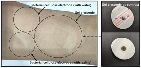 Sensors Free Full Text A Film Electrode Upon Nanoarchitectonics Of