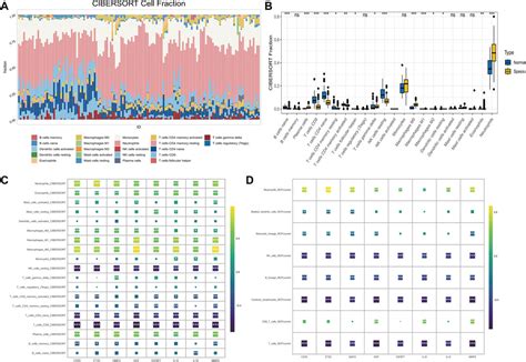 Frontiers Comprehensive Analysis Of Senescence Associated Genes In