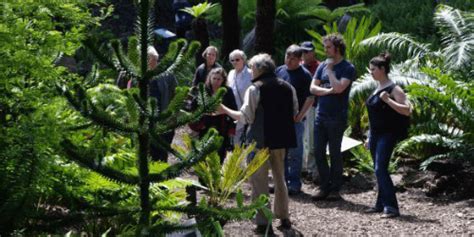 University of Bristol Botanic Garden