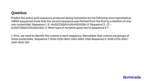 SOLVED Predict The Amino Acid Sequence Produced During Translation By