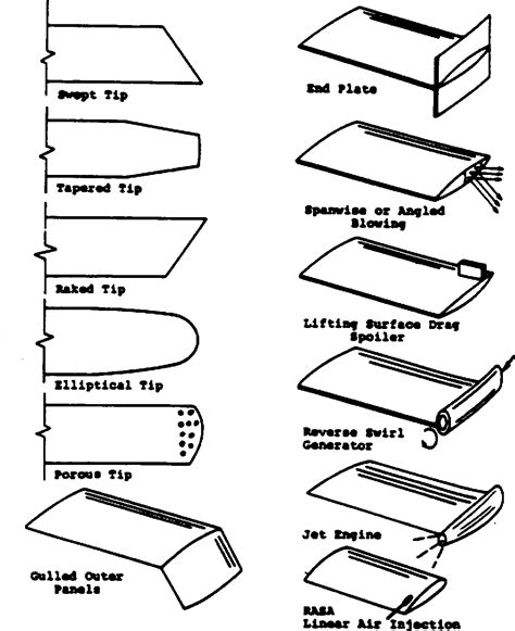 figure   numerical study   trailing vortex   wing
