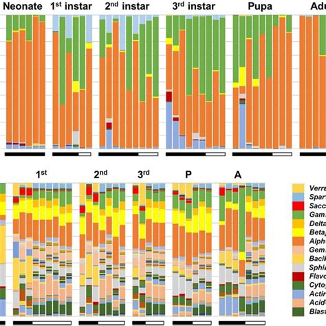 Stacked Bar Charts Showing Relative Abundances Of Bacterial Classes