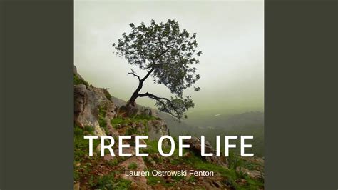 Tree Of Life Guided Meditation For Sleep Youtube