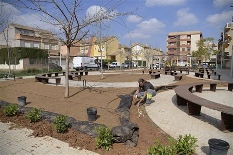 Nuevas Plantas Para La Zona Verde De La Plaza Medio Ambiente