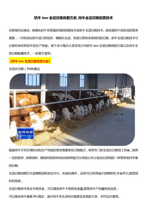 奶牛tmr全混日粮育肥方案肉牛全混日粮配置技术word文档在线阅读与下载无忧文档