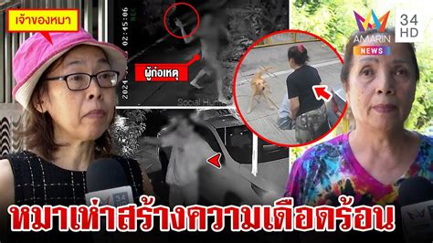 สุดทนหมาเห่า!บุกปาของใส่เพื่อนบ้าน เผยฝูงหมาสร้างความเดือดร้อน | ทุบ ...