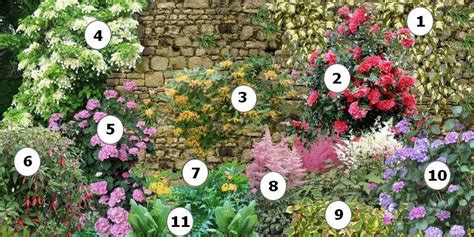 Comment Fleurir Un Mur Au Nord Garden Styles Beautiful Gardens